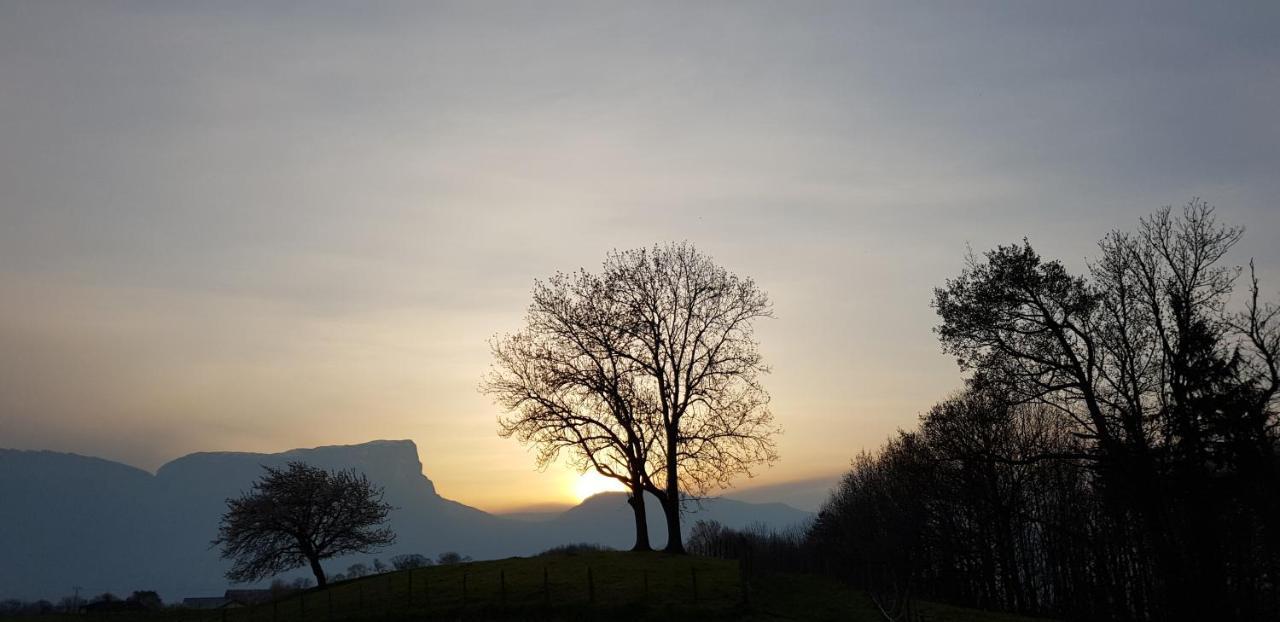 Sainte-Helene-du-Lac Gite Clair, Spacieux Et Cosy Avec Vue Sur Le Massif De La Chartreuse מראה חיצוני תמונה